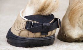 Лошадиная обувь