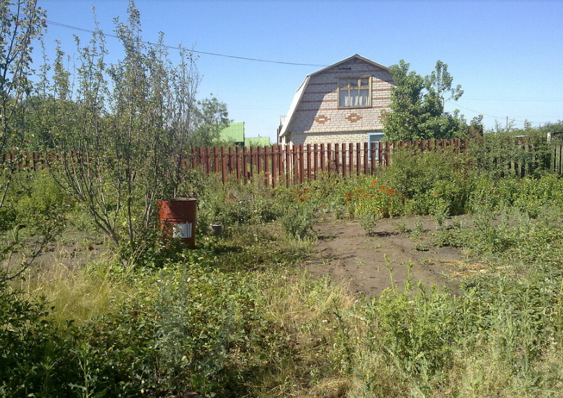 Огород и соседский домик