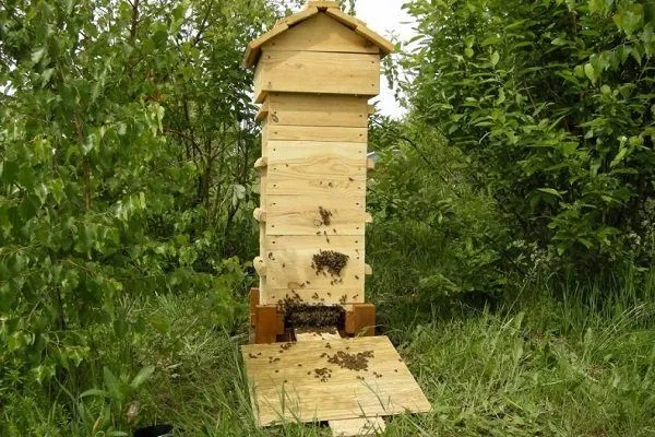 Пчелиный улей – изготовление своими руками