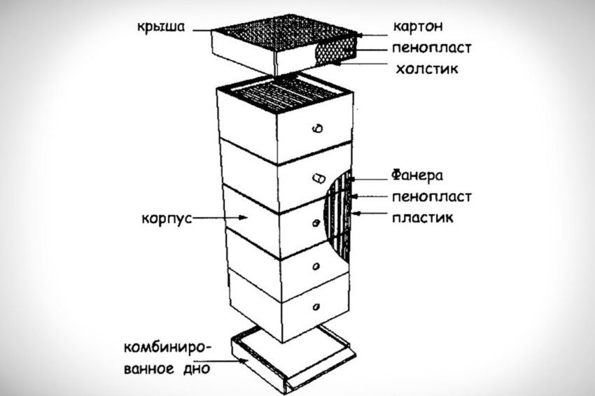 Устройство пчелиного улья схема