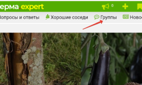 меню на компьютере