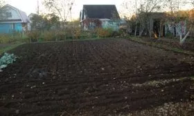 Подготовленный участок