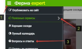 На смартфоне