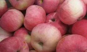 Дочь Мельбы