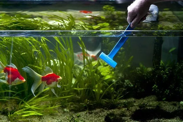 Очищайте аквариум