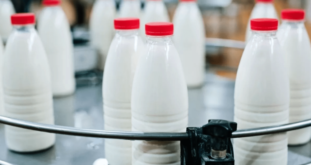 производство молока