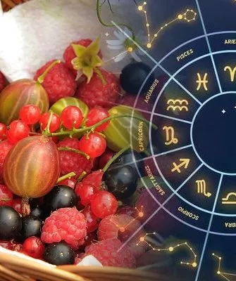 Лунный календарь посевов, июль 2022