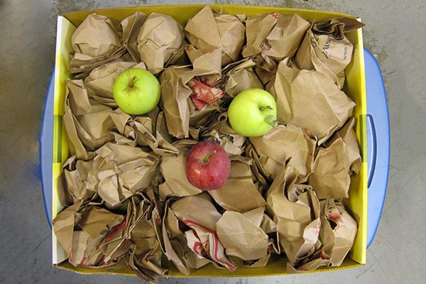 Яблоки в картоне