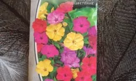 photo_2022-07-10_21-26-08