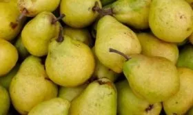 Урожай Северянки