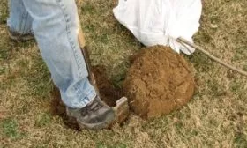 Место для посадки груши