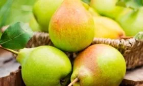 Урожай груш