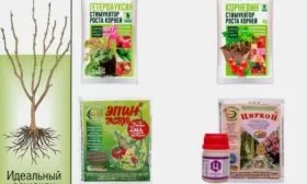 Стимуляторы роста