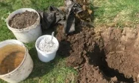 Подготовка ямы к посадке