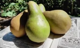 Дюшес д'Ангулем