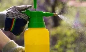 Опрыскивание