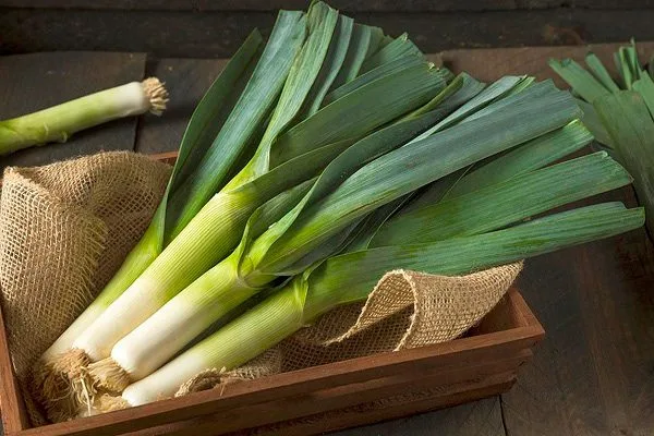 AFJHBKADx0SDkjtVFfaeve7XSX0PeAnRGkYOCYr1