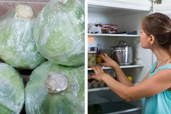 Хранение капусты в холодильнике в пищевой пленке