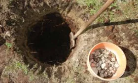 Посадочная яма под грушу