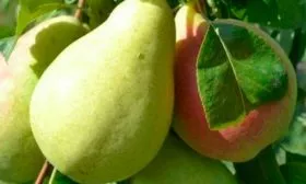 Бере-Киевская