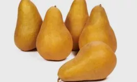 Груша Дюрандо