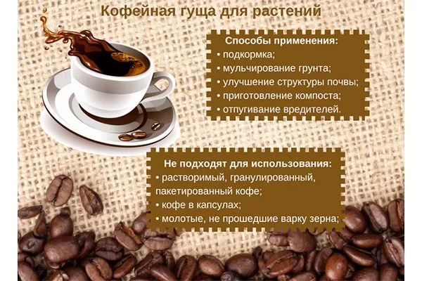 ГУща кофе для растений