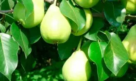 Нальчикская-Костыка