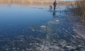 Зимний пруд