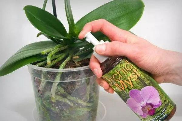 Внекорневая подкормка орхидей
