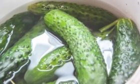 Восстанавливаем огурцы