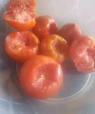 Подготовка помидор