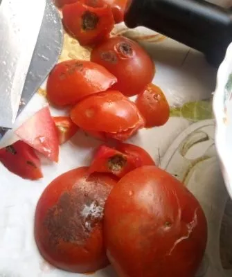Гнилые помидоры