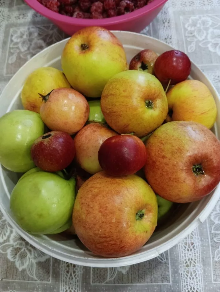 Что такое яблочный уксус и для чего он нужен в хозяйстве