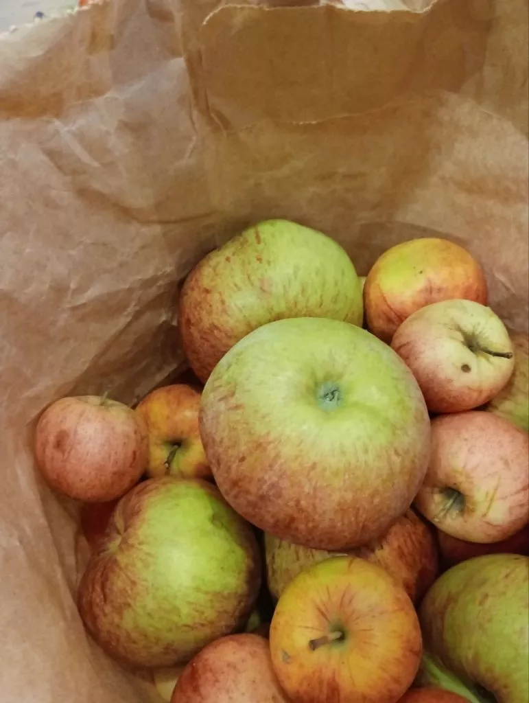 Заготовки из яблок. Как приготовить натуральный яблочный уксус