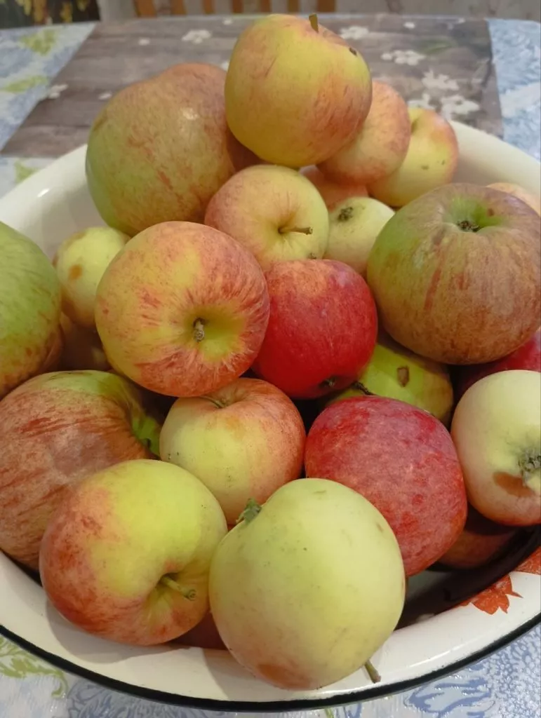 Как применять яблочный уксус для профилактики заболеваний и для лечения