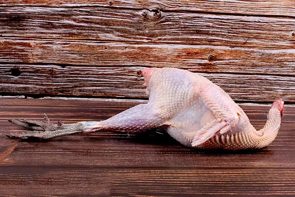 Тушка фазана
