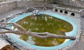 Условия содержания