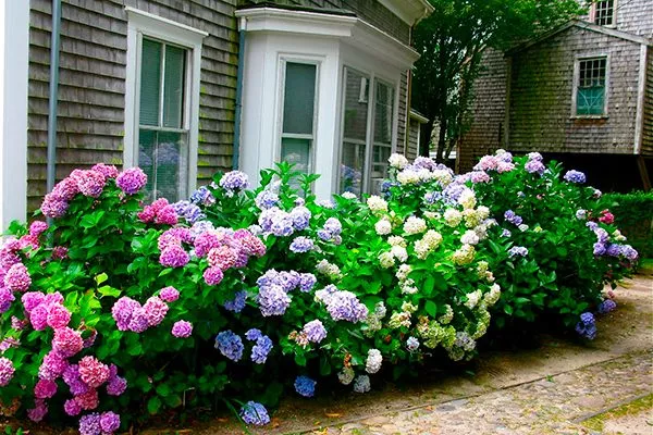 Примеры в ландшафтном дизайне 2