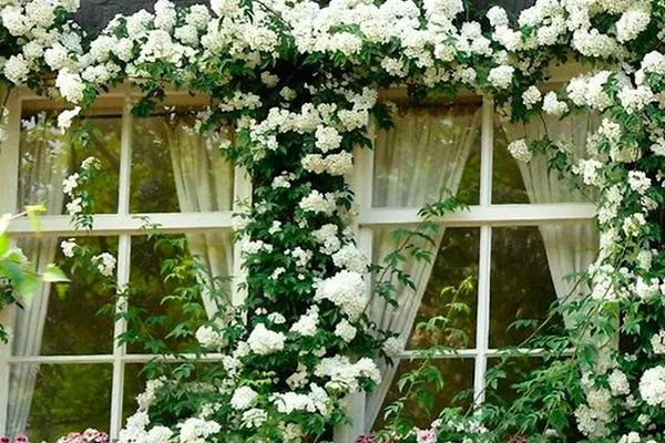 Примеры в ландшафтном дизайне 7