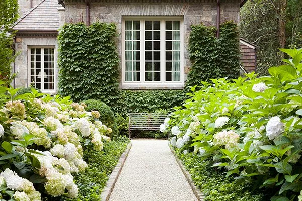 Примеры в ландшафтном дизайне