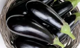 Сбор урожая