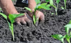 Схема посадки