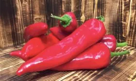 Перец сорт Рамиро