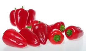 Характеристика внешнего вида растения и плодов