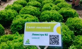 Уход