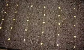 Посев перца