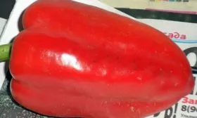 Кореновский