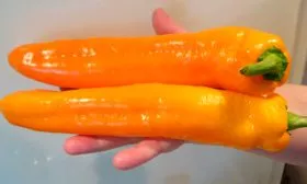 Размер перца