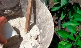 Особенности подкормок