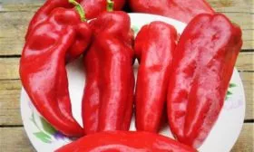 Паланичко чудо